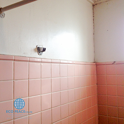 リフォーム前/沖縄県内物件S邸浴室
